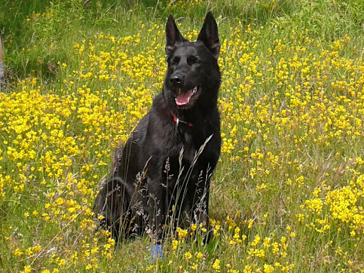 Dr. Beate Schildknecht unter Ulm, Baden Württemberg