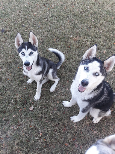 Park «Lake Cliff Park», reviews and photos, 300 E Colorado Blvd, Dallas, TX 75201, USA