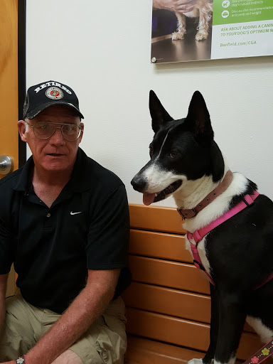 Pet Supply Store «PetSmart», reviews and photos, 14420 Farm to Market 2920, Tomball, TX 77377, USA