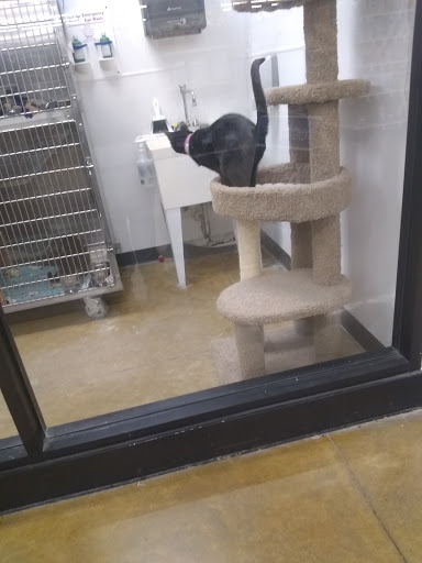 Pet Supply Store «PetSmart», reviews and photos, 5812 Youngstown Warren Rd, Niles, OH 44446, USA