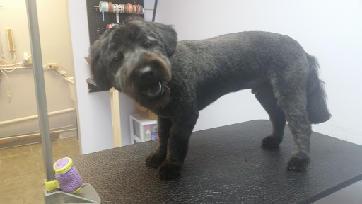 Pet Groomer «Barking Beauties pet Boutique», reviews and photos, 112 E 2nd St S, Newton, IA 50208, USA