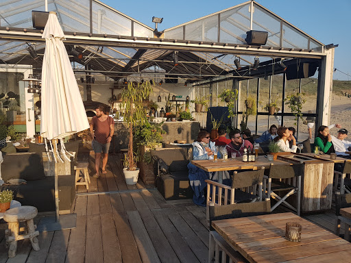 Terraces on the beach in Rotterdam