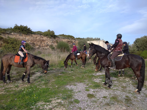Tatoi National Equestrian Club in Pallini
