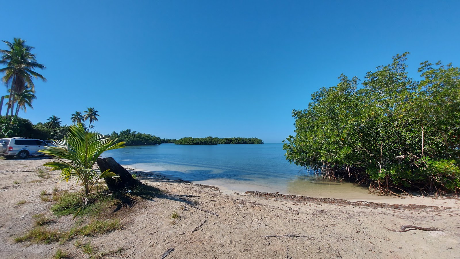 Photo de Playa La Playita - bon endroit convivial pour les animaux de compagnie pour les vacances