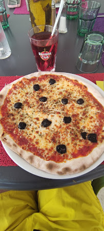 Pizza du Restaurant Le Chêne Vert à Les Salles-sur-Verdon - n°5