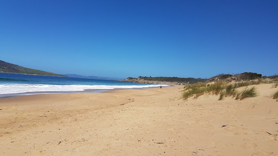 Goat's Beach