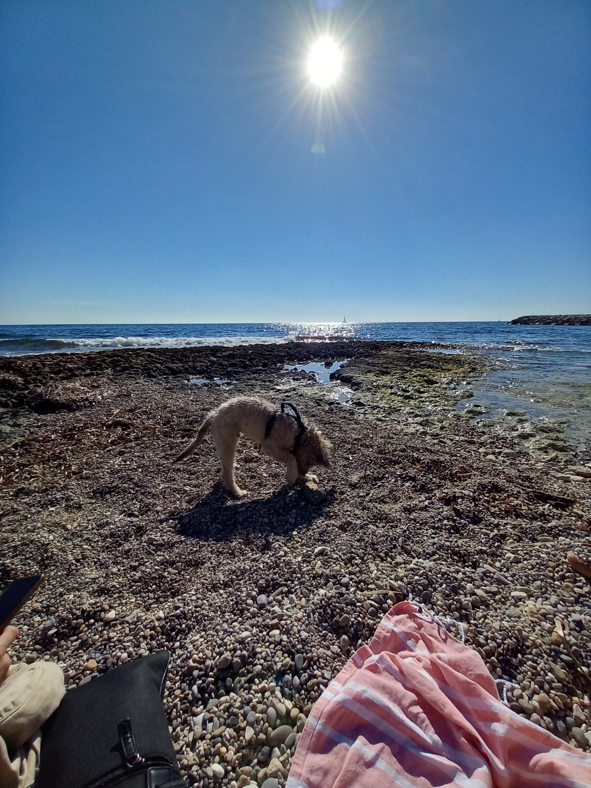 Photo n° 2 de l'avis de Sandrine.. fait le 29/09/2023 à 17:47
