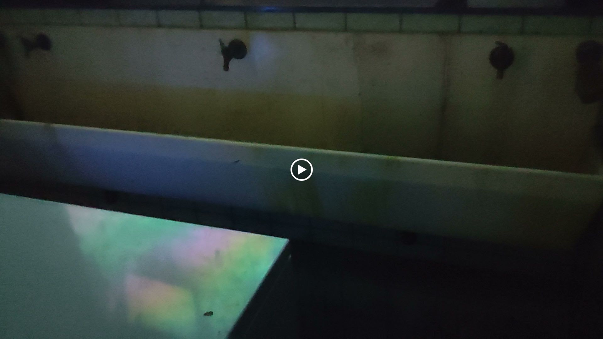 Photo n° 12 de l'avis de Mickael.o fait le 02/08/2023 à 14:24