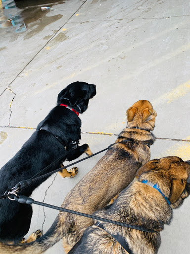 Home Improvement Store «The Home Depot», reviews and photos, 800 Commerce Blvd, Dickson City, PA 18519, USA