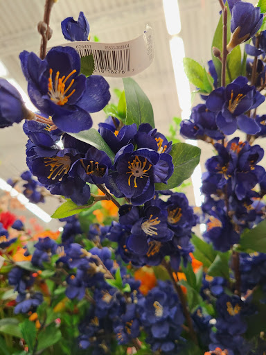 Craft Store «Michaels», reviews and photos, 4830 Wilson Ave SW #400, Grandville, MI 49418, USA