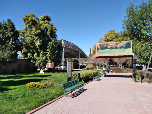 Parque de la ciudad Torreón