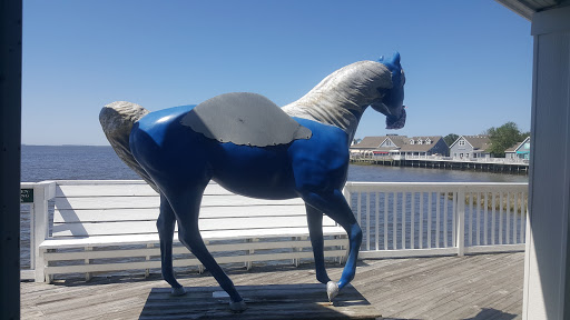 Pet Supply Store «Outer Barks - Water Front Shops», reviews and photos, 1240 Duck Rd, Duck, NC 27949, USA