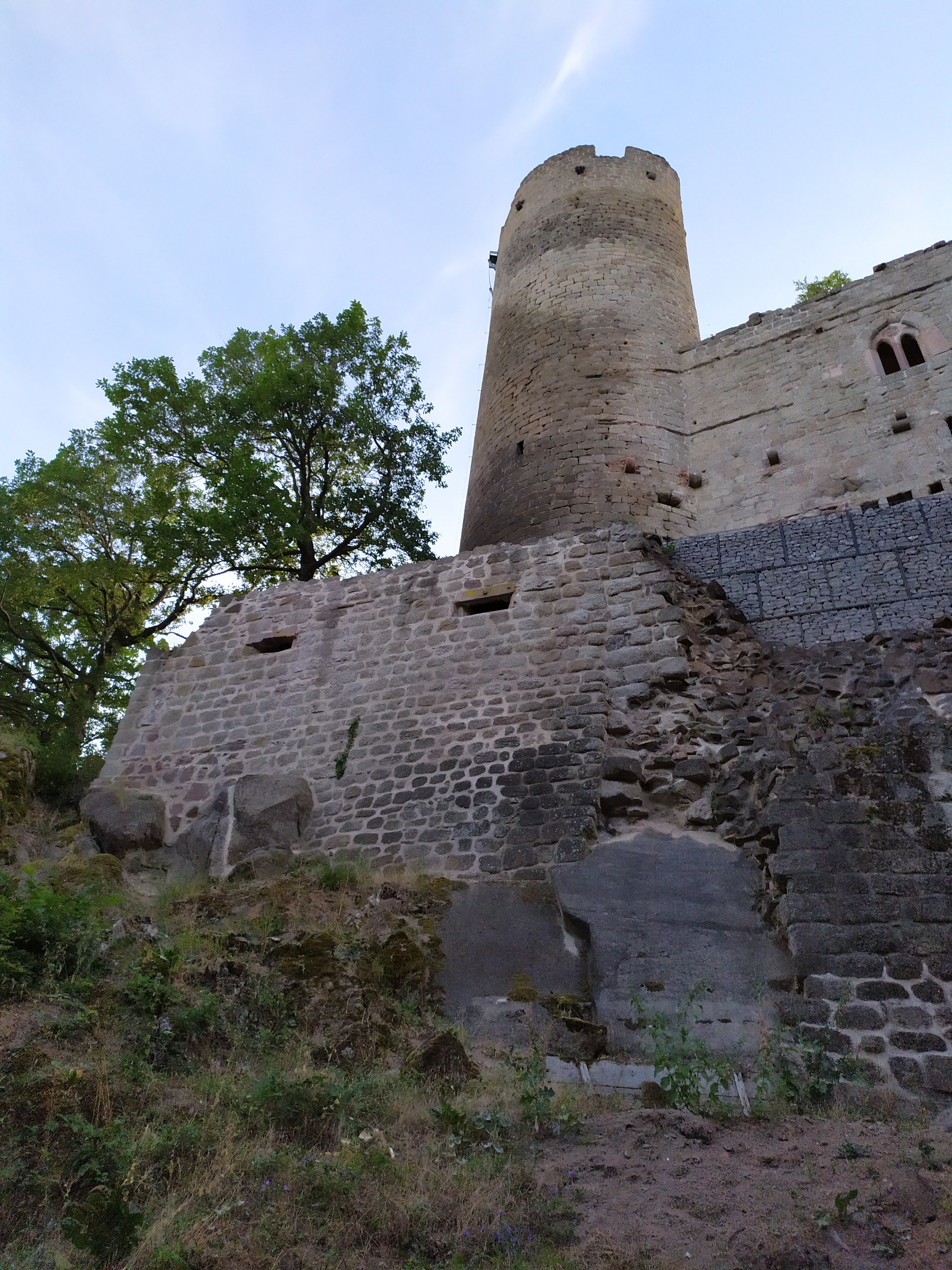 Photo n° 2 de l'avis de giuliani.a fait le 20/07/2019 à 00:13