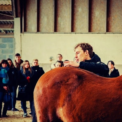Rousselot Valentin Ostéopathe pour animaux (chevaux) à Lamoura