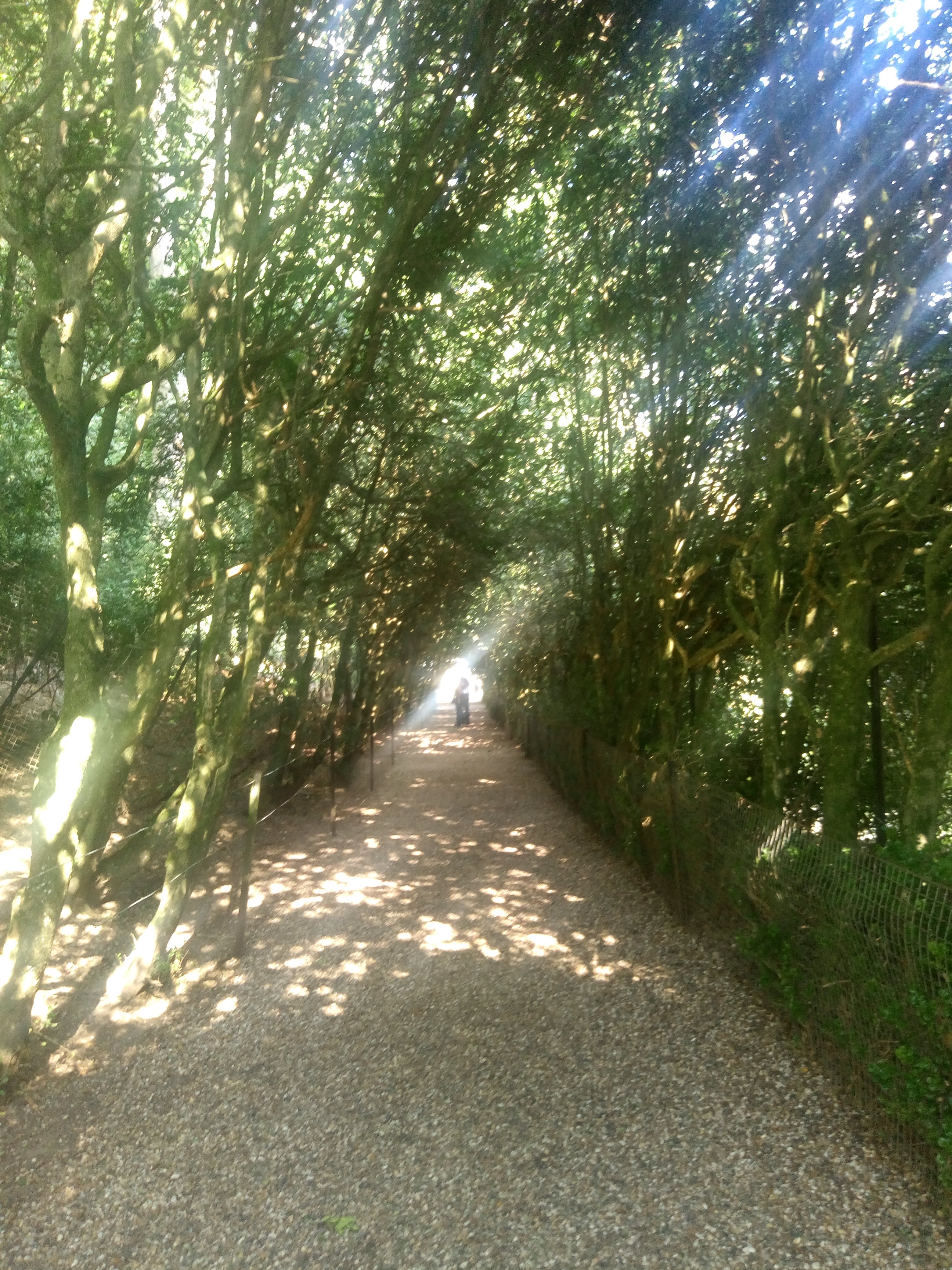 Photo n° 9 de l'avis de France.u fait le 11/10/2018 à 15:31