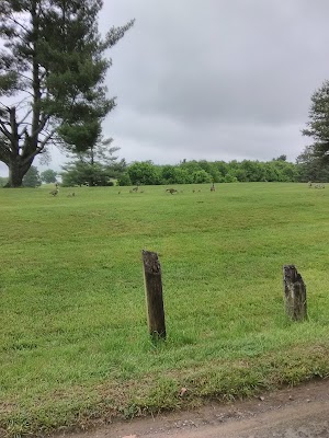 Ole Monterey Golf Club - photo 11