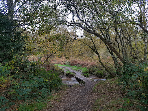 Talbot Heath Local Nature Reserve