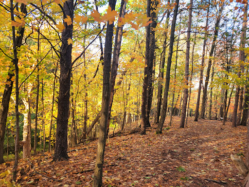 Nature Preserve «McDonald Woods Forest Preserve», reviews and photos, 19611 W Grass Lake Rd, Lake Villa, IL 60046, USA
