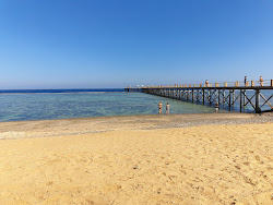 Albatros Sea World Marsa Alam'in fotoğrafı otel alanı