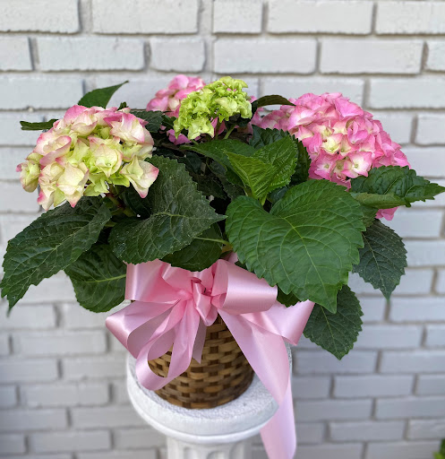 Florist «Doug Ruling Flower Shop», reviews and photos, 599 N Norcross Tucker Rd, Norcross, GA 30071, USA