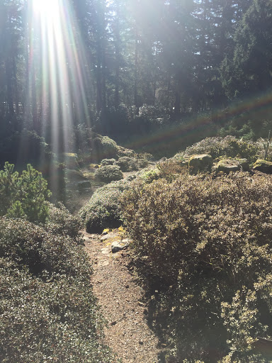 Botanical Garden «Rhododendron Species Botanical Garden», reviews and photos, 2525 S 336th St, Federal Way, WA 98003, USA