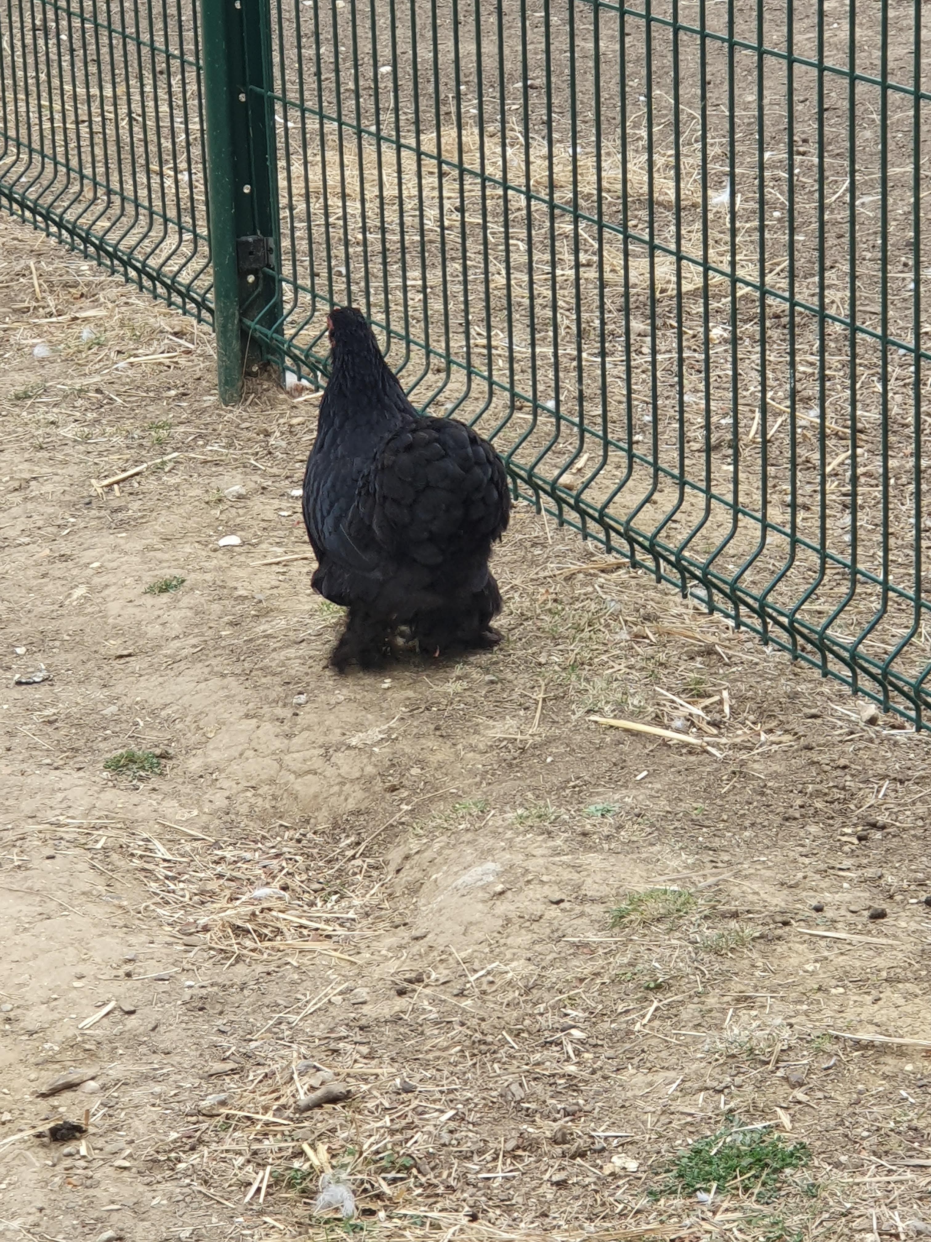 Photo n° 15 de l'avis de Liliane.o fait le 17/08/2019 à 10:37