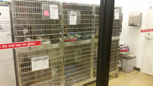 Pet Supply Store «PetSmart», reviews and photos, 11132 Abercorn St, Savannah, GA 31419, USA