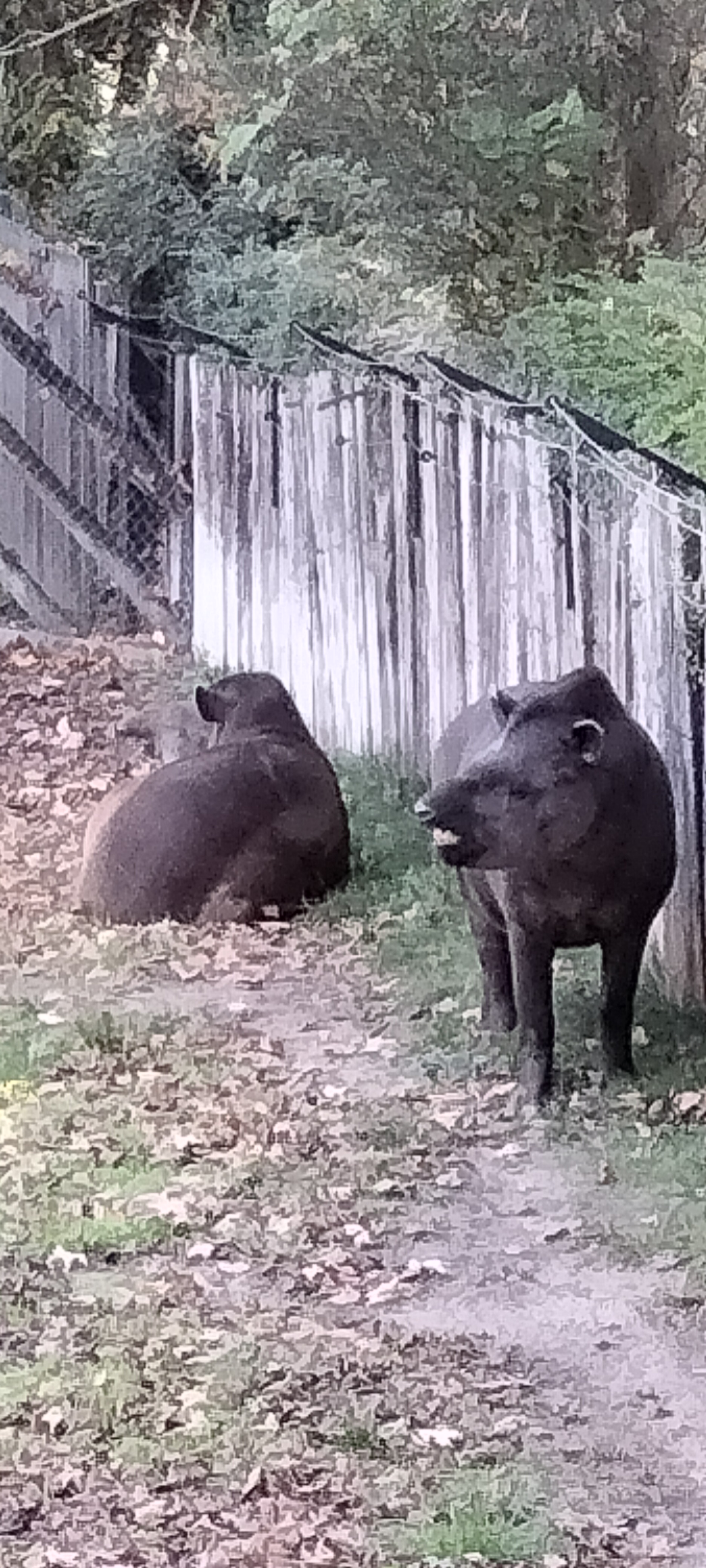 Photo n° 18 de l'avis de Sylvie.U fait le 07/11/2022 à 08:33