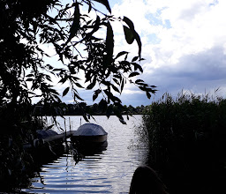 Dauerkleingartenverein \