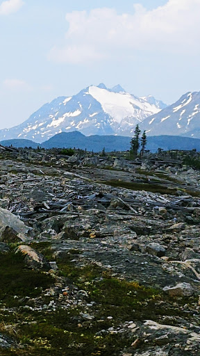 Travel Agency «Landfall Travel», reviews and photos, 19104 Old Detroit Rd, Rocky River, OH 44116, USA