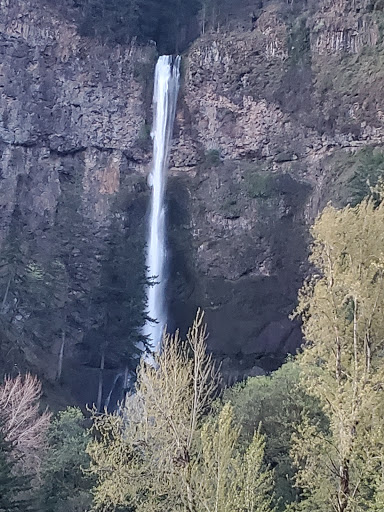 History Museum «Western Antique Aeroplane and Automobile Musem (WAAAM)», reviews and photos, 1600 Air Museum Rd, Hood River, OR 97031, USA