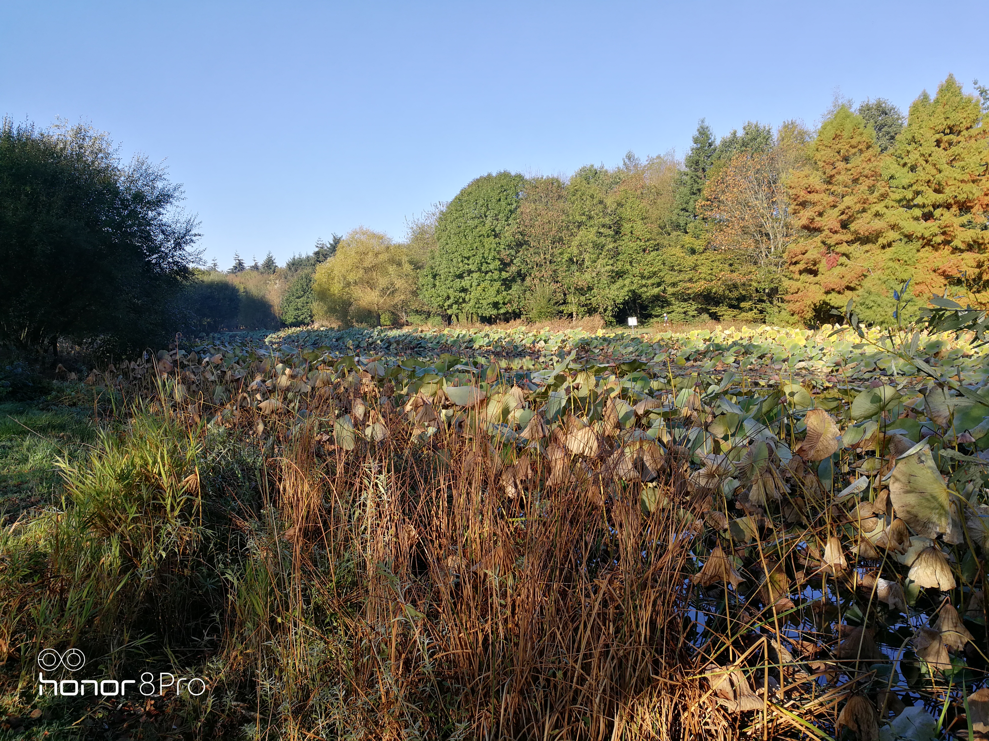 Photo n° 1 de l'avis de Carl.U fait le 24/10/2018 à 08:25