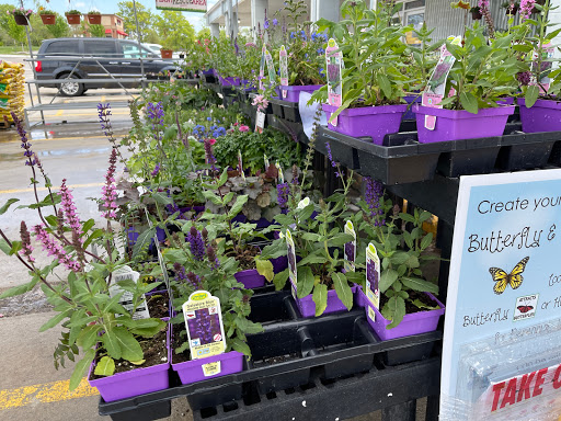 Hardware Store «Westlake Ace Hardware», reviews and photos, 10130 E State Rte 350, Raytown, MO 64138, USA