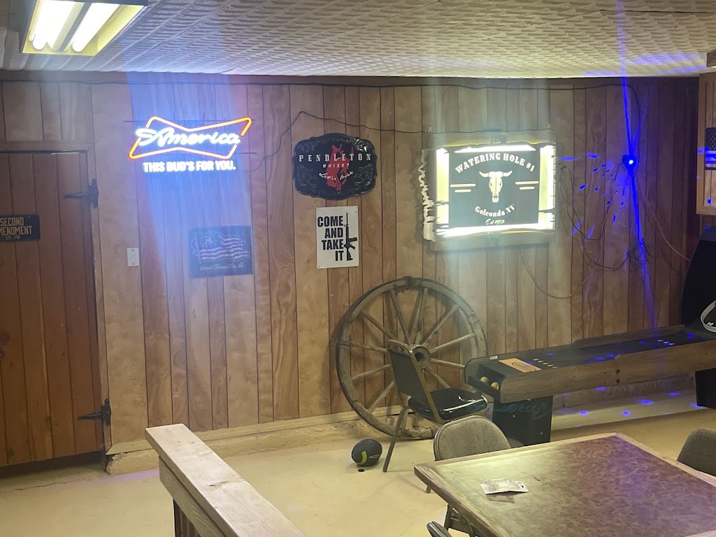 Mike's Waterhole Bar & Grill 89414