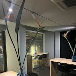 Photo n°8 de l'avis de Letizia. fait le 07/11/2023 à 12:10 sur le  Ristorante Aqua à Nago–Torbole