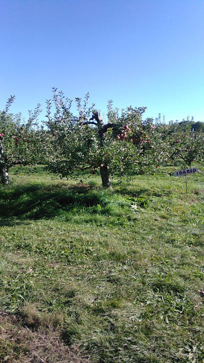 Canaan Orchard - Closed for the Season - See you for U-Pic Apples in 2023!