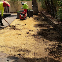 Landscaping Authority LLC - Photo 7 - Car repair in Phoenix, AZ, Phoenix