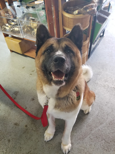 Pet Supply Store «Cheshire Cat & Dog Too», reviews and photos, 1320 Waterbury Rd, Cheshire, CT 06410, USA