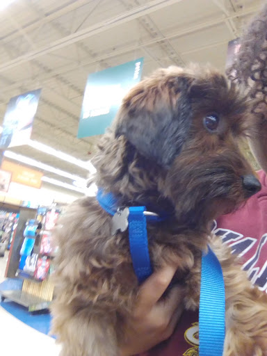 Pet Supply Store «Petco Animal Supplies», reviews and photos, 975 Savannah Hwy #137, Charleston, SC 29407, USA