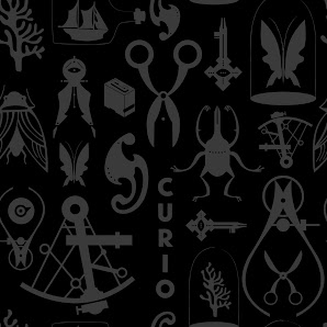 Curio Studio 10035 88 Ave NW, Edmonton, AB T6E 2R6, Canada