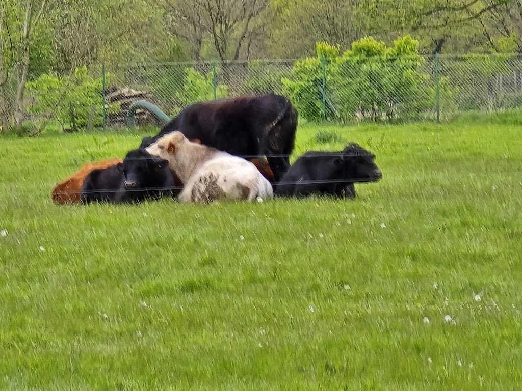 SoLaWi Heidkoppelhof