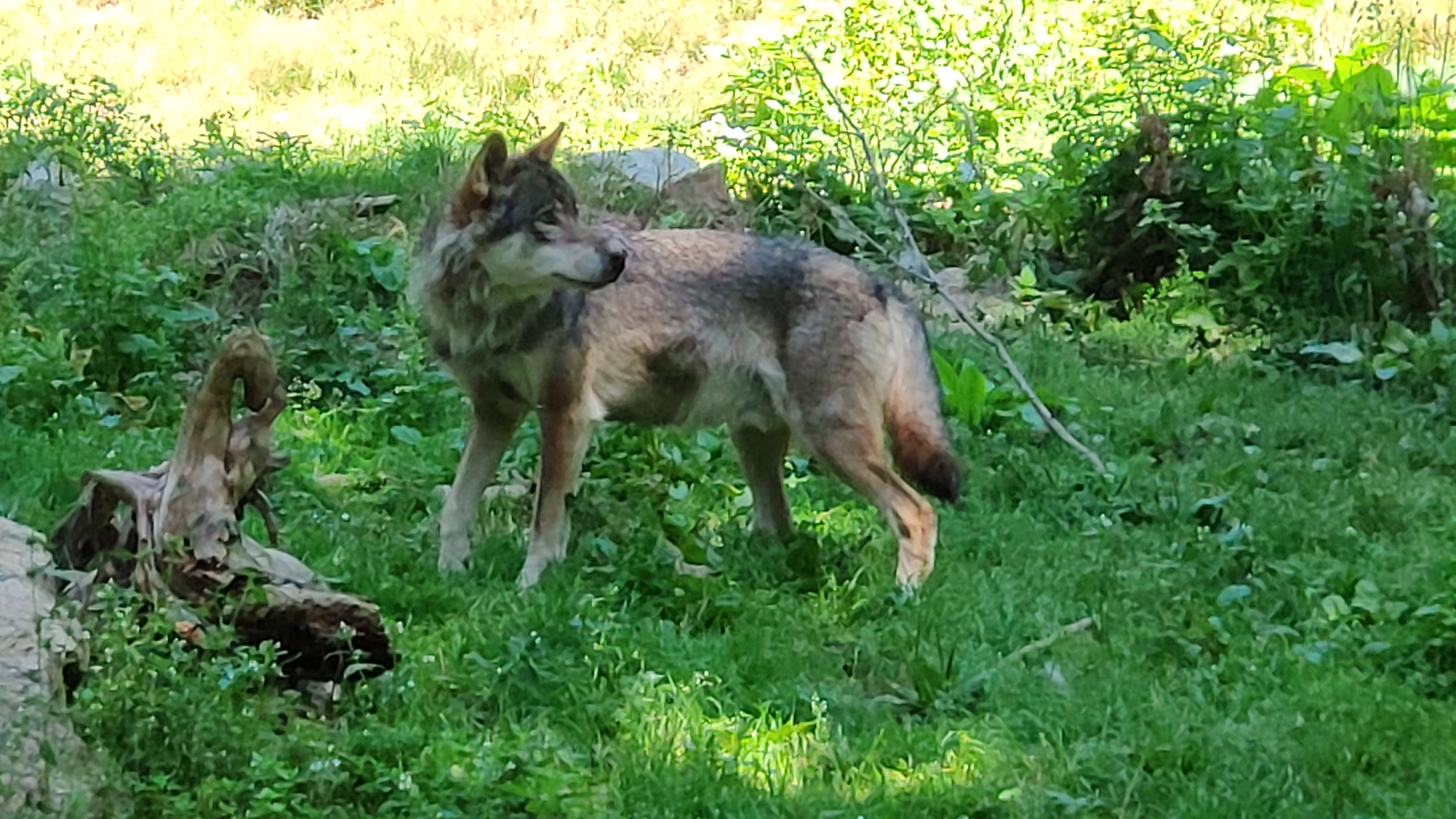 Photo n° 4 de l'avis de Vince.e fait le 09/08/2019 à 21:01