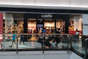 colette by colette hayman - Mt Gravatt image