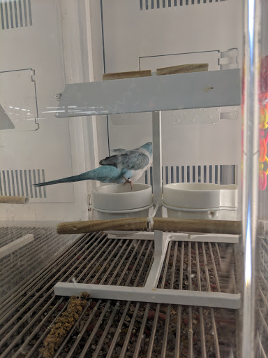 Pet Supply Store «Petco Animal Supplies», reviews and photos, 473 State Rd, North Dartmouth, MA 02747, USA