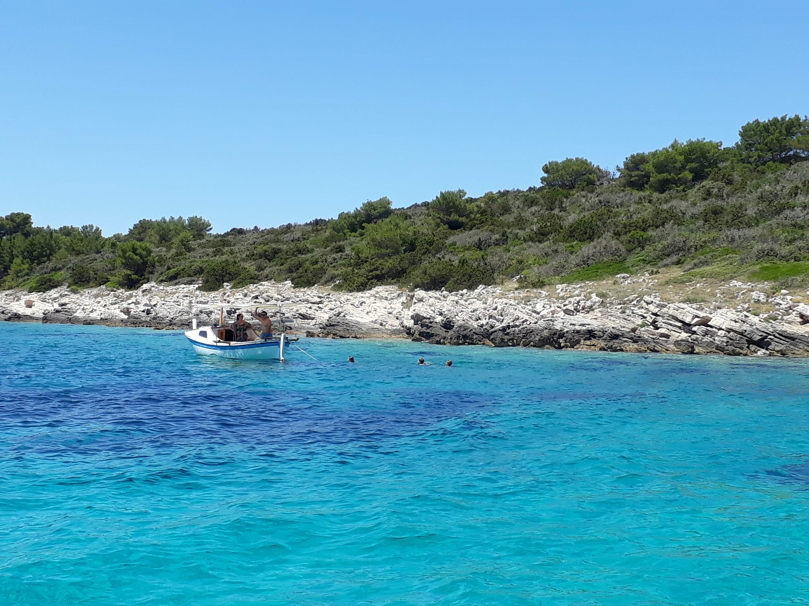 Punta beach'in fotoğrafı çok temiz temizlik seviyesi ile