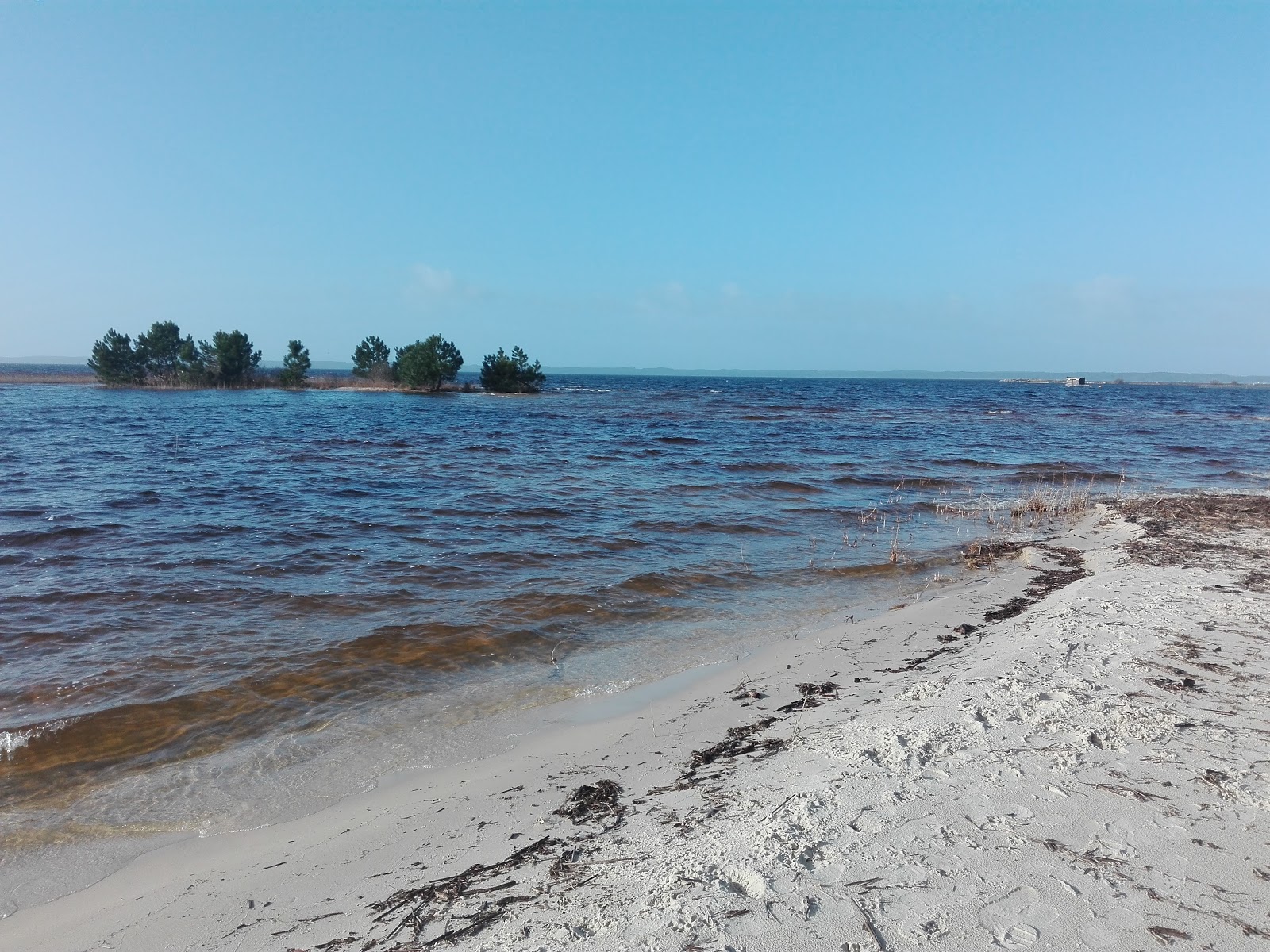 Foto van Plage du lac de Sanguinet gelegen in een natuurlijk gebied