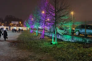 Lumières en Seine image