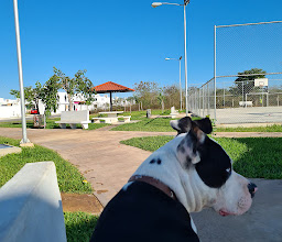 Cerrada Flamboyanes Park photo