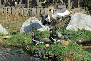 Jardin Zoologique Bellachon image