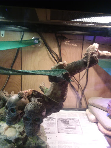 Pet Supply Store «PetSmart», reviews and photos, 1125 Quentin Rd, Lebanon, PA 17042, USA